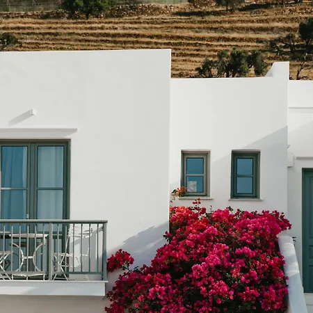 Mr. And Mrs. White Tinos